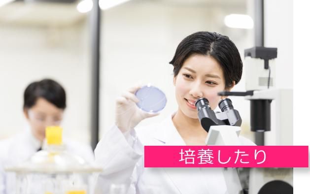 株式会社スタッフサービス　エンジニアリング事業本部　山口TCのアルバイト・バイト求人情報-03