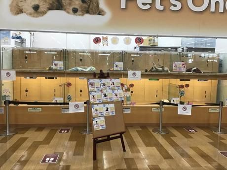 株式会社Ruff Collectionの求人・転職情報