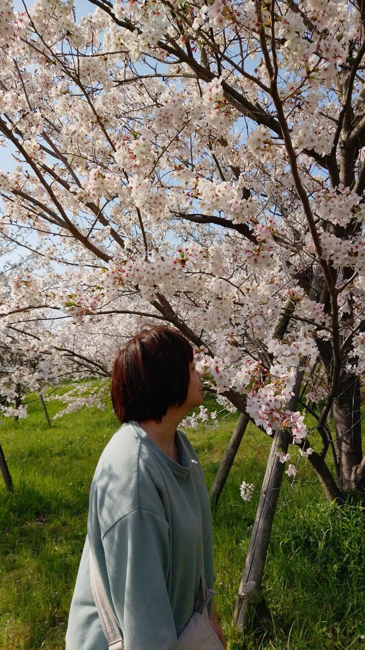 社会福祉法人　優希福祉会の求人・転職情報