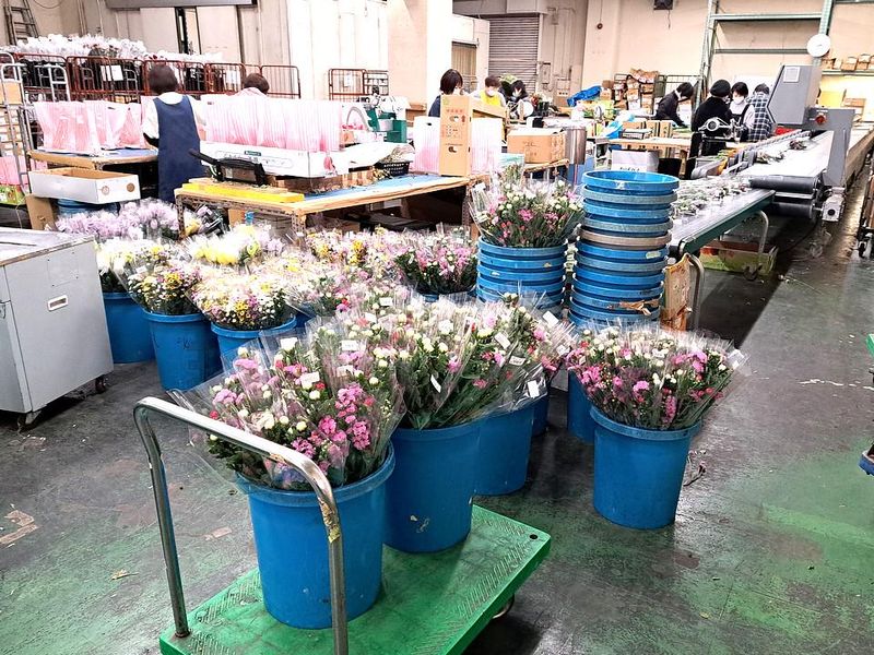 株式会社八王子花卉の求人・転職情報