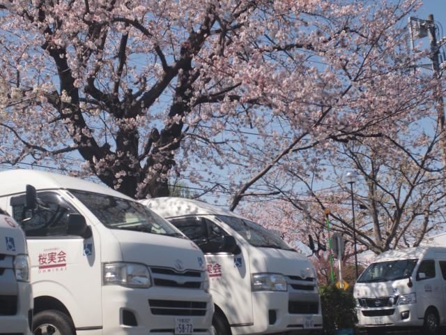 特定非営利活動法人　桜実会-0001の求人・転職情報