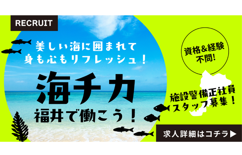 株式会社アイビックスの求人・転職情報