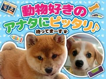 アップルランド甲南店のアルバイト・バイト求人情報-03
