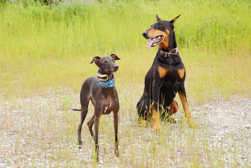 AKカンパニー株式会社のアルバイト・バイト求人情報-04