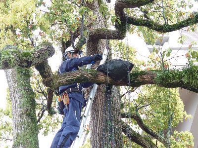 有限会社 高宮電計の求人・転職情報