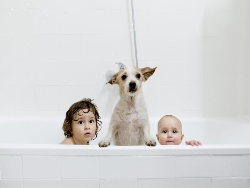 リンナイ株式会社