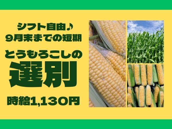 北海道ハピネス株式会社のアルバイト・バイト求人情報-40
