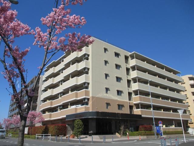 有限会社たちばな開発の求人・転職情報