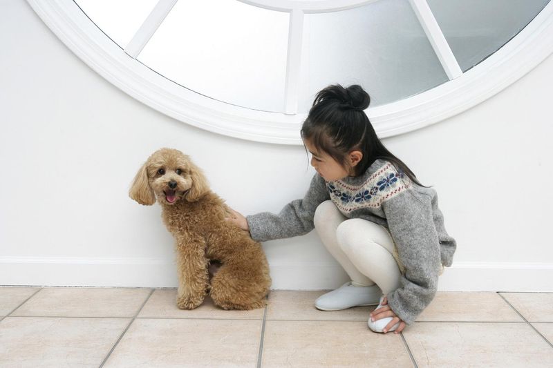 株式会社中新の求人・転職情報