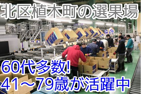 熊本県農業協同組合中央会のアルバイト・バイト求人情報-06