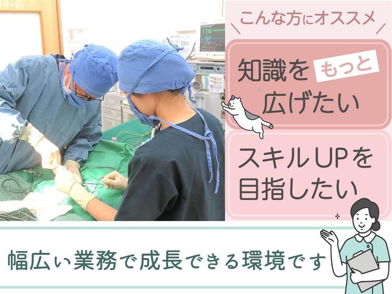 やまびこ動物病院-0006の求人・転職情報