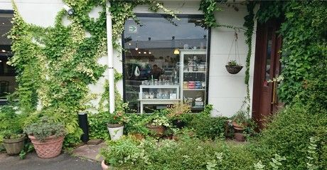 マカロニ市場(マカロニマーケット)　藤沢店のアルバイト・バイト求人情報-08