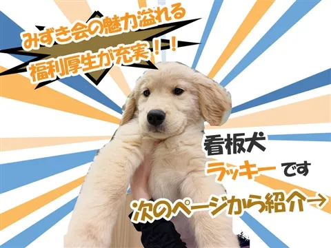 社会福祉法人みずき会の求人・転職情報