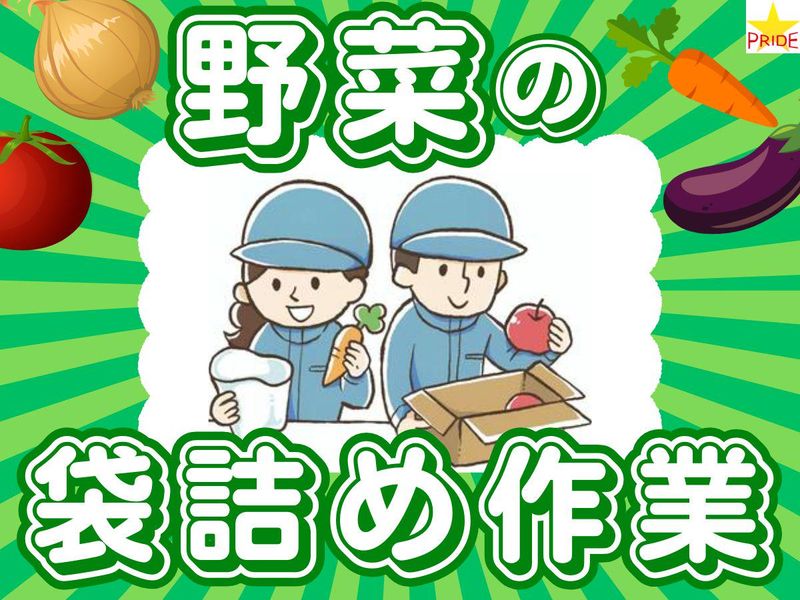 株式会社スタープライド(大阪府摂津市東別府)のアルバイト・バイト求人情報-37