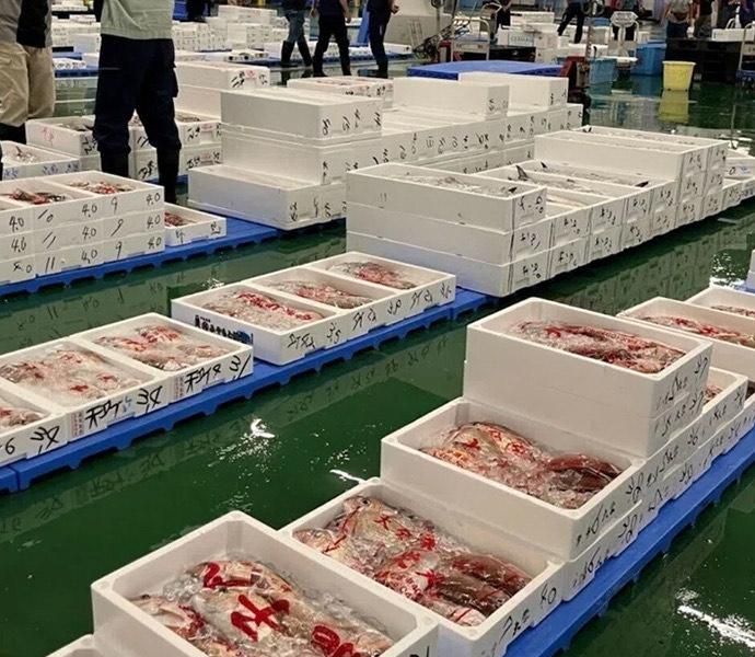 株式会社ＮＥＸＴＳＴＡＧＥ　ＳＨＩＰＰＩＮＧの求人・転職情報