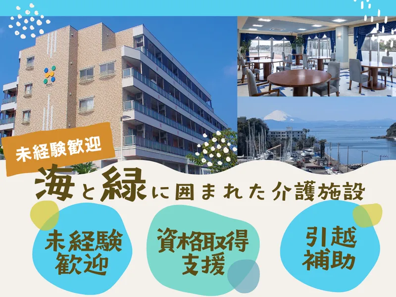 株式会社日本ライフデザイン　油壺マリーナヒルズの求人・転職情報