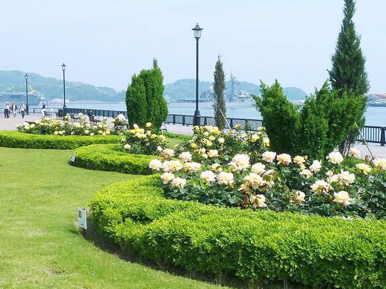 西武造園株式会社の求人・転職情報