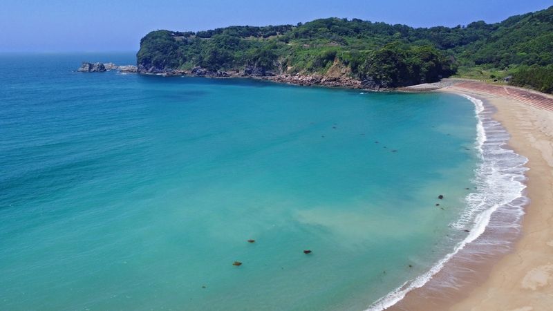 天草パールセンター株式会社 海中水族館シードーナツの求人・転職情報