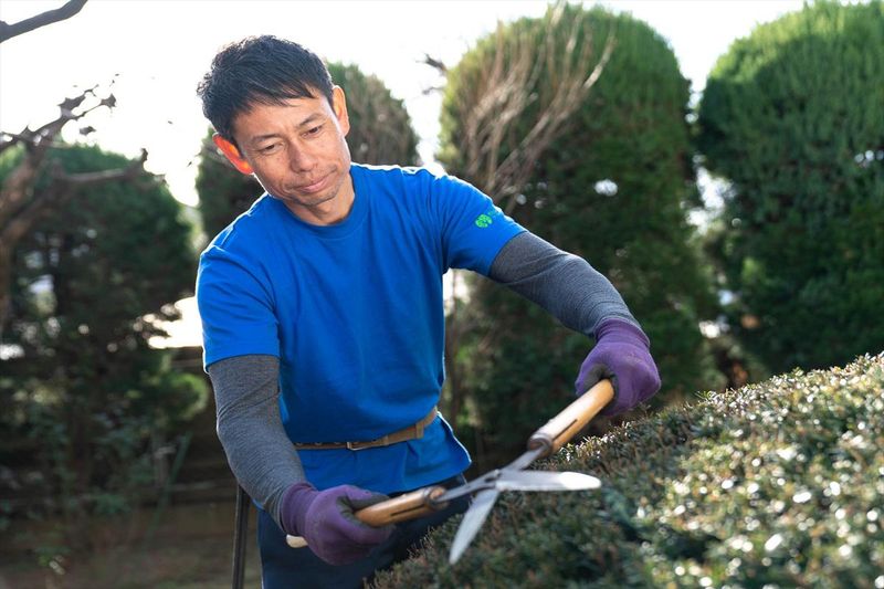 株式会社大和グリーンの求人・転職情報