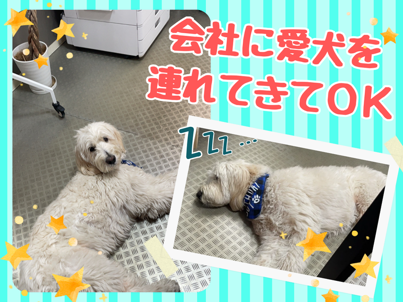 有限会社エイチ・アイティのアルバイト・バイト求人情報-08