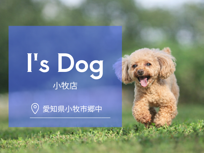 合同会社Ｉ　Ｗａｎの求人・転職情報