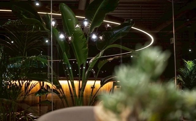 株式会社Respawn -0009の求人・転職情報