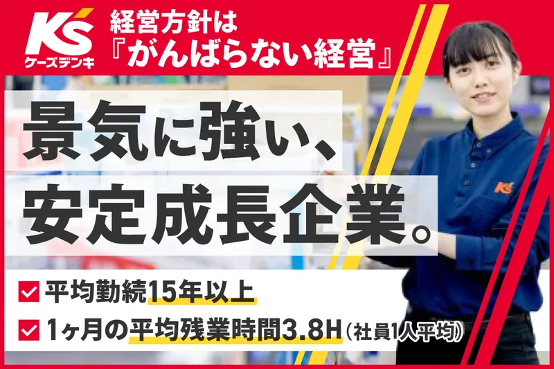 株式会社ケーズホールディングス