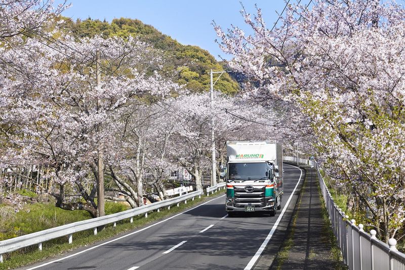 有限会社丸野バンライン(東彼杵営業所)のアルバイト・バイト求人情報-04