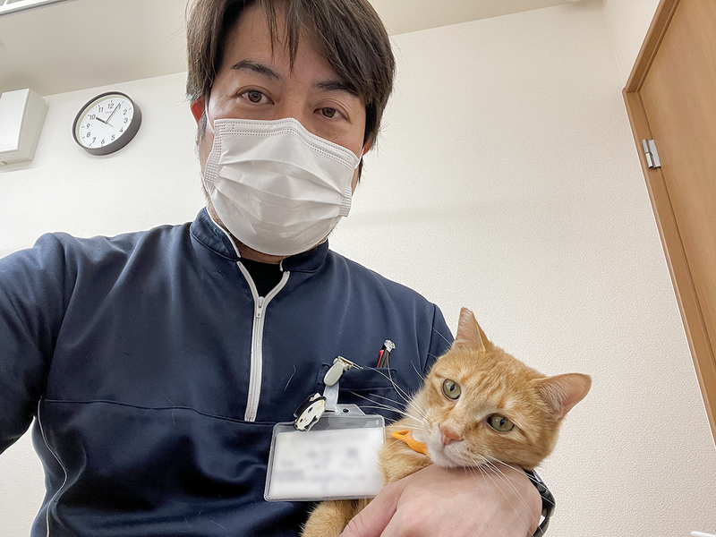 合同会社はるかの求人・転職情報