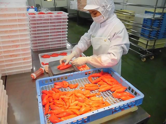 株式会社ヤマショウの求人・転職情報