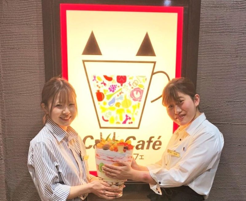 セントラルホールディングス株式会社の求人・転職情報