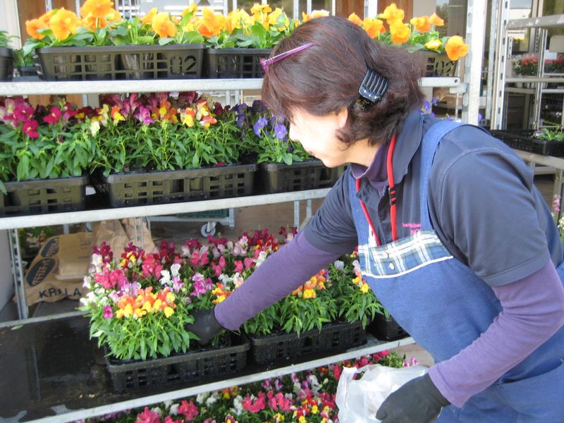 株式会社フランソア(花事業部)のアルバイト・バイト求人情報-02