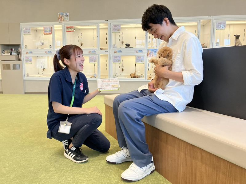 犬の家　カナート西神戸店(株式会社犬の家)の求人情報