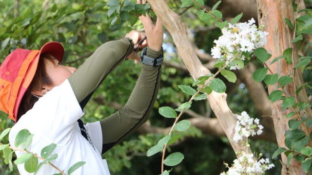 株式会社豊橋園芸ガーデンの求人・転職情報