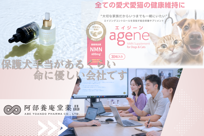 株式会社阿部養庵堂薬品の求人・転職情報