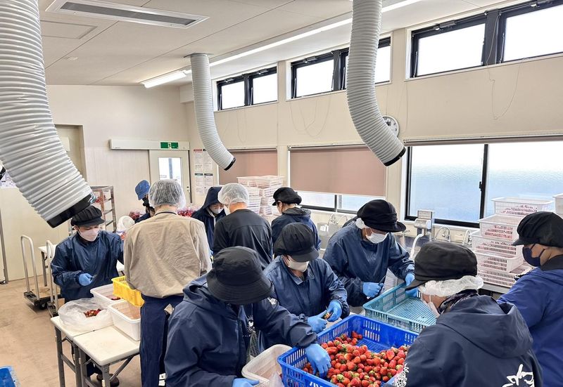 株式会社燦燦園のアルバイト・バイト求人情報-01