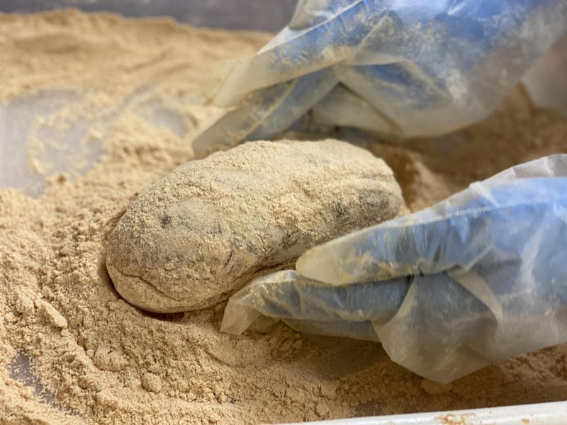 Bakery コムギノホシ 仙川のアルバイト・バイト求人情報-03