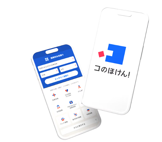 Ｓａｓｕｋｅ　Ｆｉｎａｎｃｉａｌ　Ｌａｂ株式会社の求人・転職情報