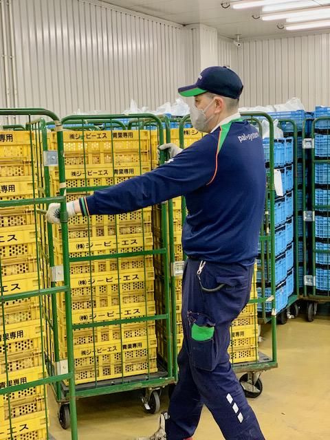 株式会社パルライン　岩槻センターの求人情報