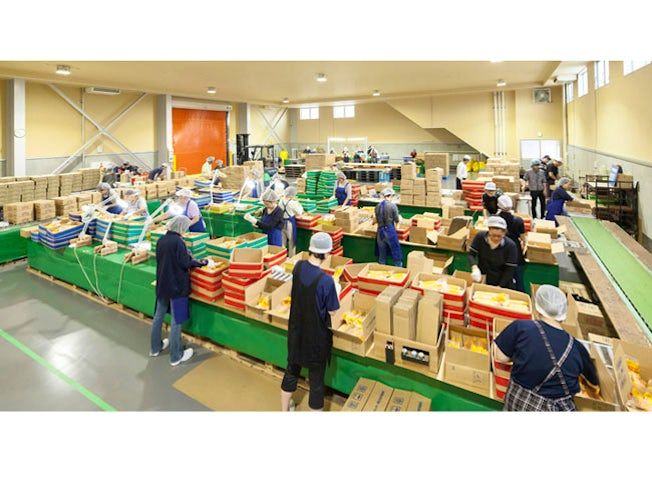 株式会社札幌トーウン