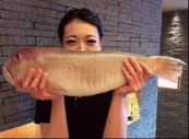 日本料理 みえ田のアルバイト・バイト求人情報-03