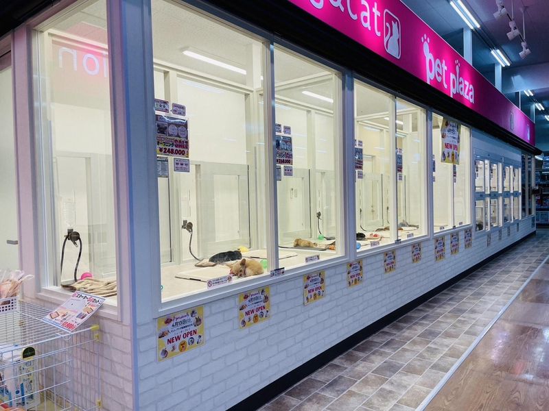ペットショップAペット高槻富田丘店のアルバイト・バイト求人情報-01
