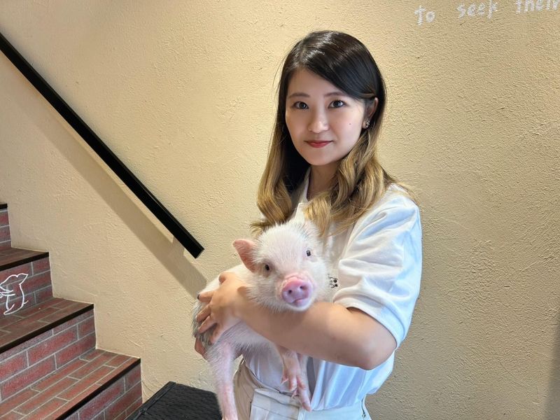 株式会社pignicの求人・転職情報