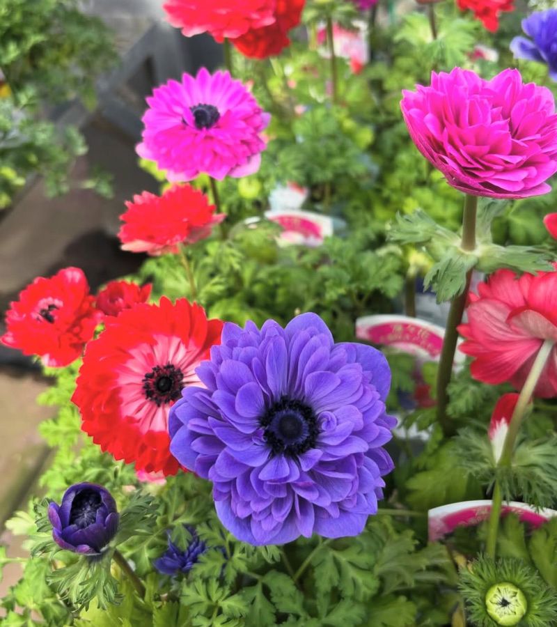 JA新潟かがやき　花夢里にいつのアルバイト・バイト求人情報-03