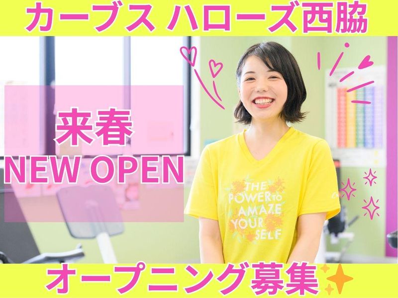 モリスホールディングス株式会社の求人・転職情報