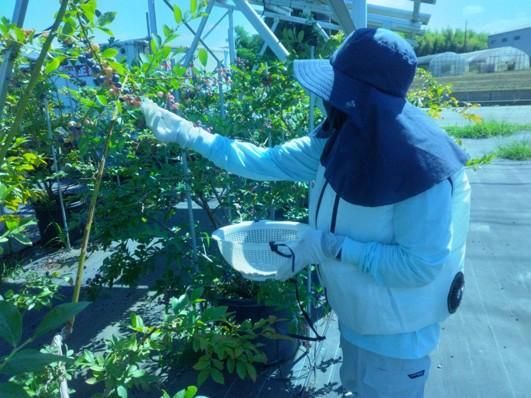 ㈱富士テクニカルコーポレーションの求人・転職情報