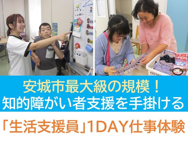 【28卒】生活介護事業所「まるくてワークス」お仕事体験