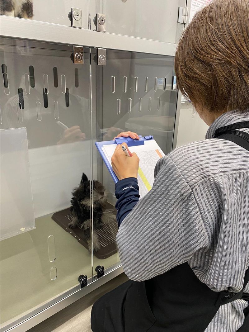 ペットショップNICOPET 御経塚店のアルバイト・バイト求人情報-02