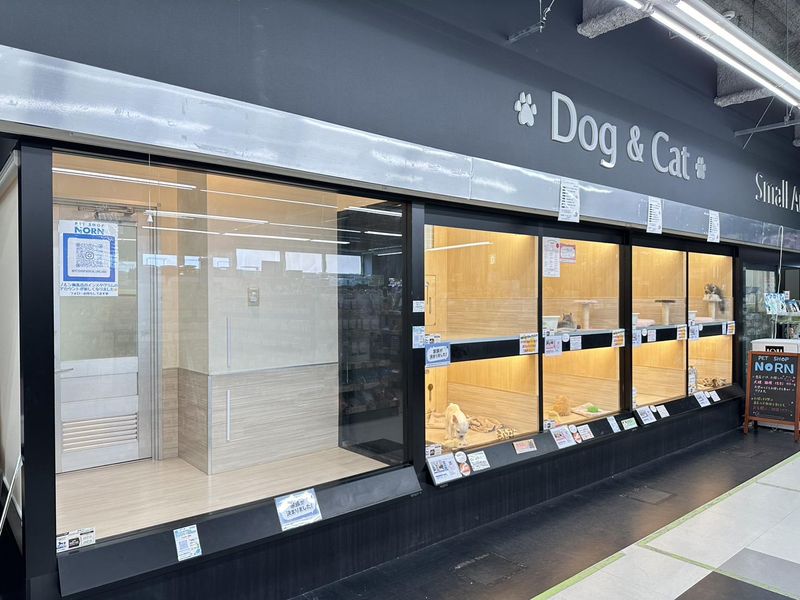ペットショップ・トリミングサロンノルン梅島店のアルバイト・バイト求人情報-04