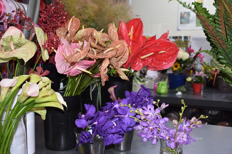平井生花店　本店のアルバイト・バイト求人情報-05